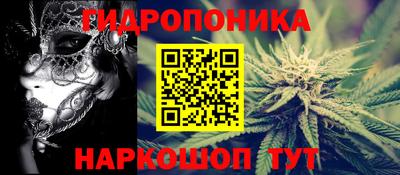 твердый Владимир