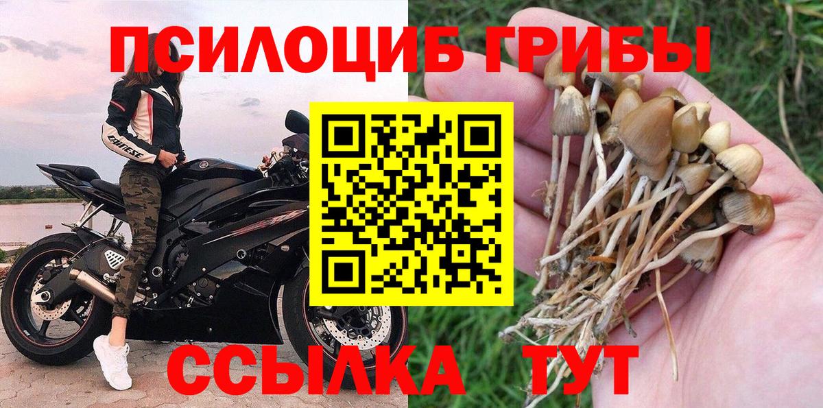 Псилоцибиновые грибы прущие грибы  купить наркотик  Верхняя Салда  Вход с VPN 