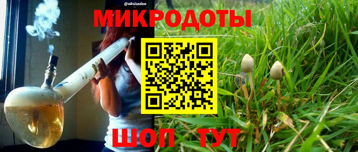 Псилоцибиновые грибы Psilocybe Верхняя Салда